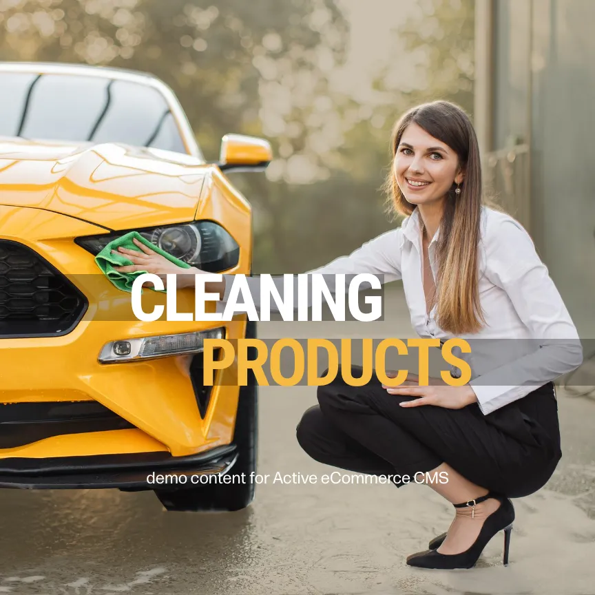 Active eCommerce Automobile promo