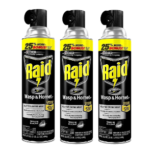 Raid Wasp & Hornet Insect Killer 33, 14 oz,  3 pack