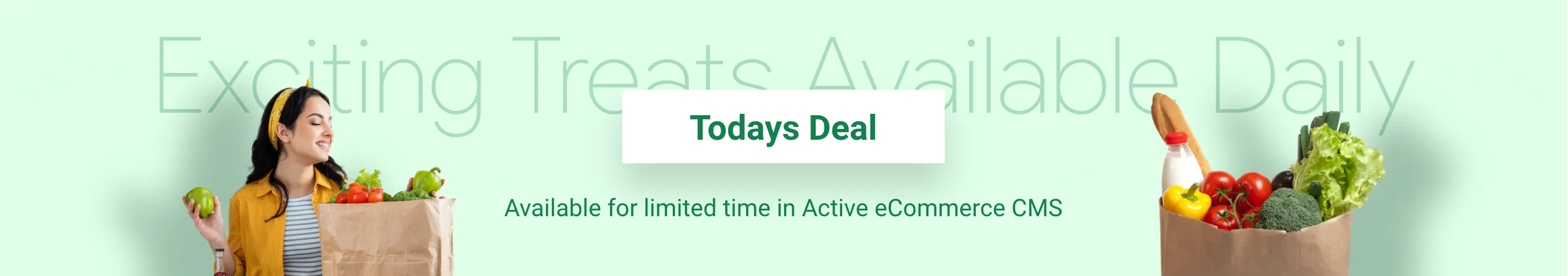 Active eCommerce Grocery promo
