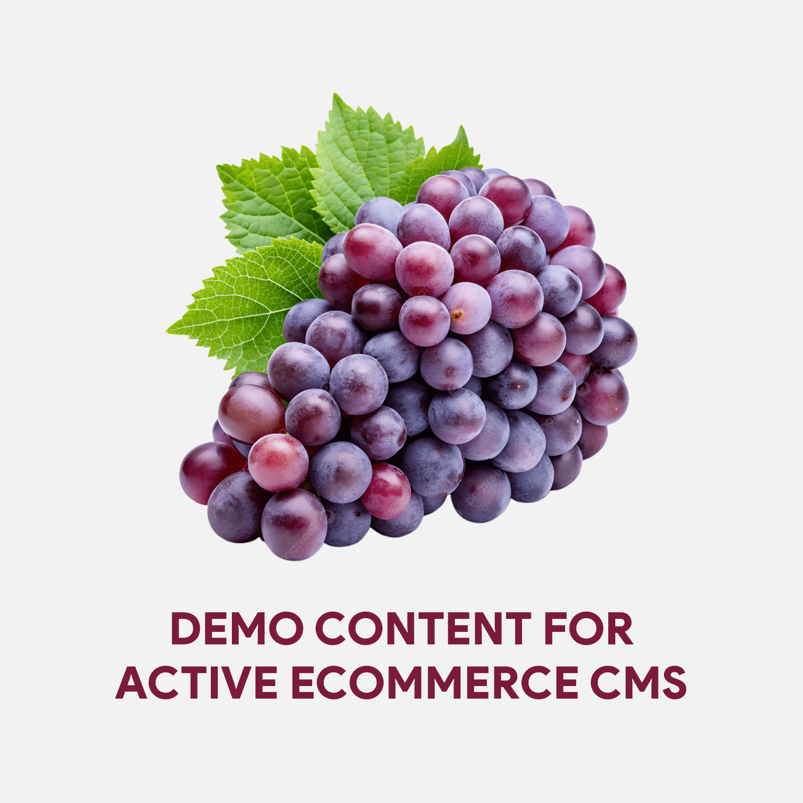 Demo Content for Active eCommerce CMS - Grapes