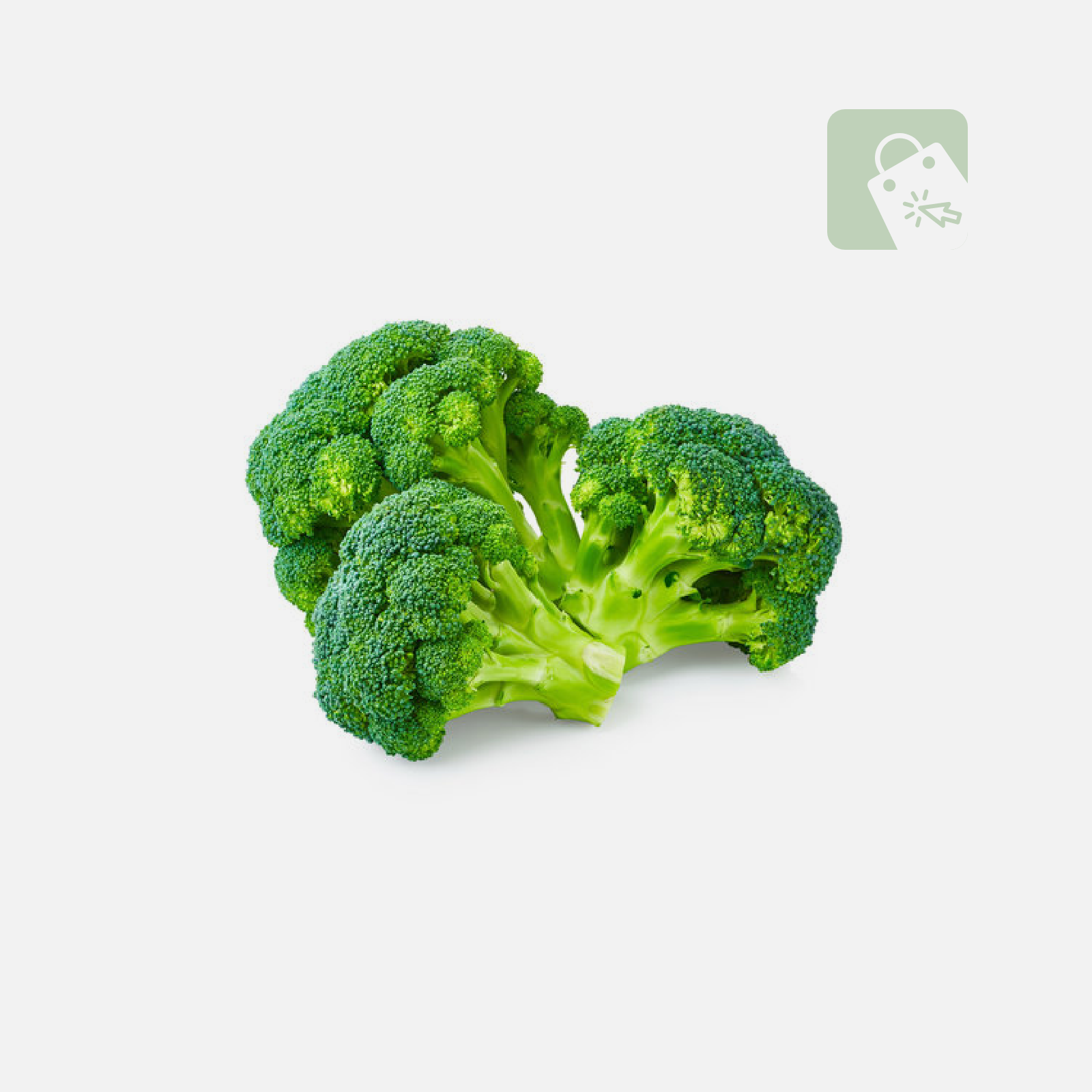 Demo Content for Active eCommerce CMS - Broccolis