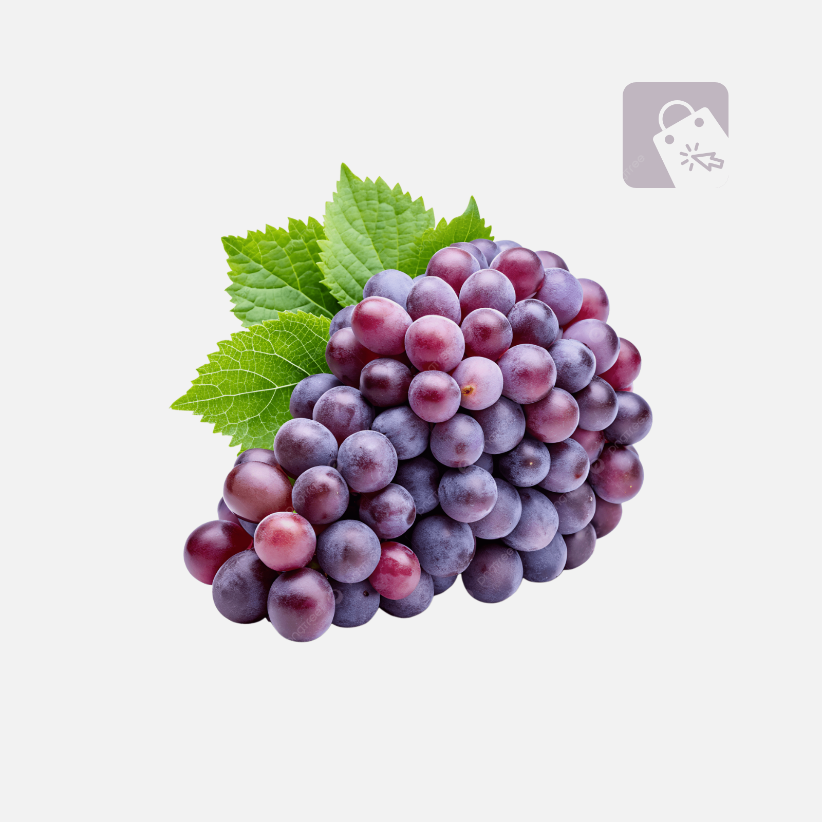 Demo Content for Active eCommerce CMS - Grapes