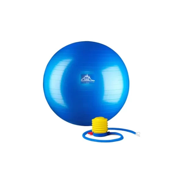 Black Mountain Products Professional Grade Stability Ball 1000lbs Anti-Burst 2000lbs Static Weight Rated