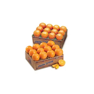 Juicy Indian River Florida Navel Oranges Grove Fresh 2 Trays, 20lbs