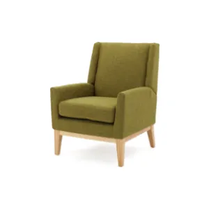 Christopher Knight Home Aurla Fabric Accent Chair, Green