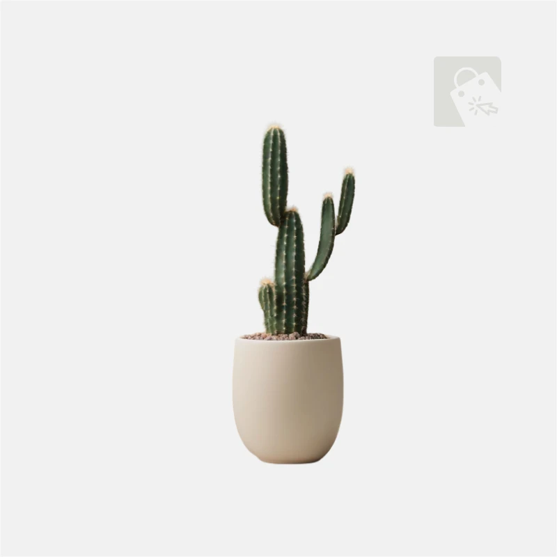 Faux Cactus Plant - Active eCommerce CMS